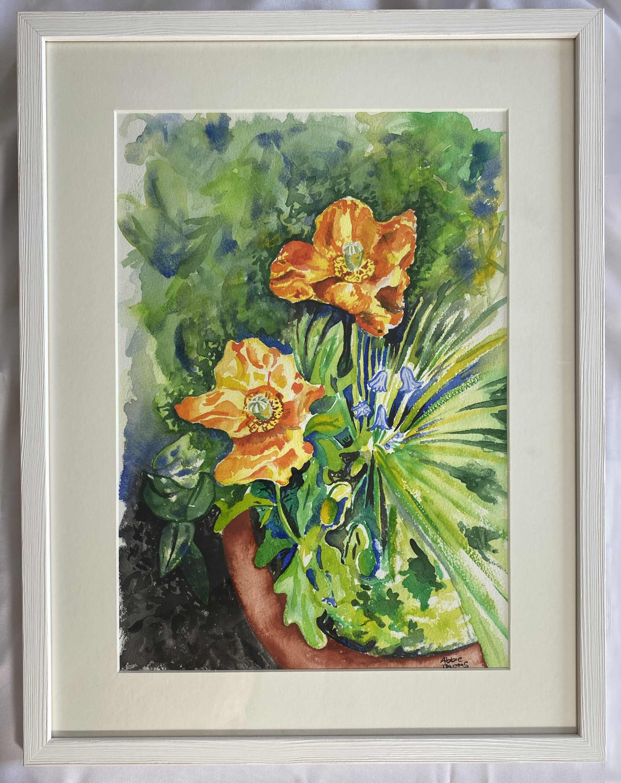 Orange Atlantic-poppies in watercolours, custom framed